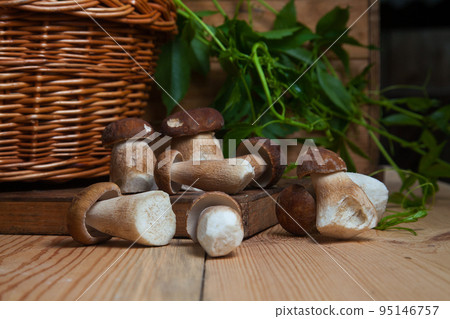 Several porcini mushrooms on wooden background at autumn season.. Several porcini mushrooms on wooden background at autumn season.. 95146757