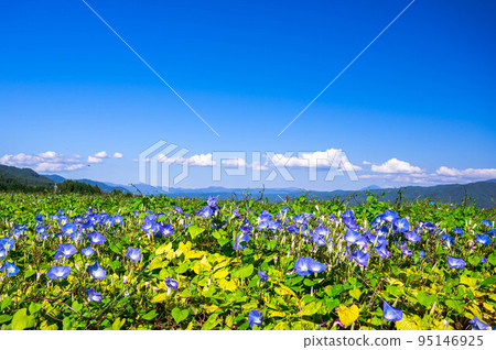 上古田地區的箕輪町天藍 上古田地區的箕輪町天藍 95146925