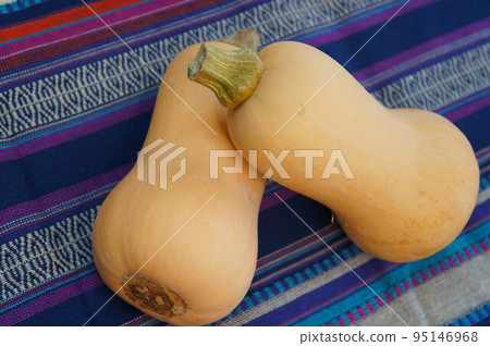 花生南瓜 95146968