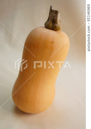 花生南瓜 95146969