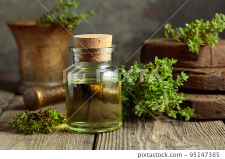 Bottle of thyme essential oil with fresh thyme twigs. Bottle of thyme essential oil with fresh thyme twigs. 95147385