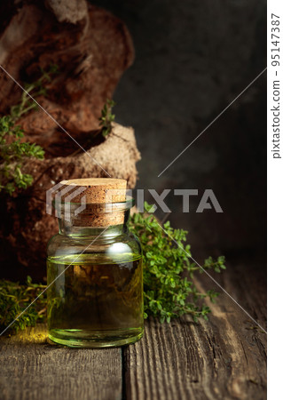 Bottle of thyme essential oil with fresh thyme twigs. Bottle of thyme essential oil with fresh thyme twigs. 95147387