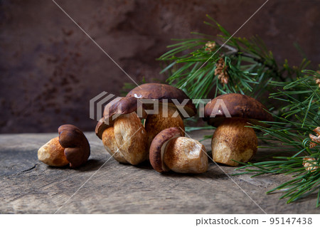 A lot of Imleria Badia or Boletus badius mushrooms commonly known as the bay bolete on vintage wooden background.. A lot of Imleria Badia or Boletus badius mushrooms commonly known as the bay bolete on vintage wooden background.. 95147438
