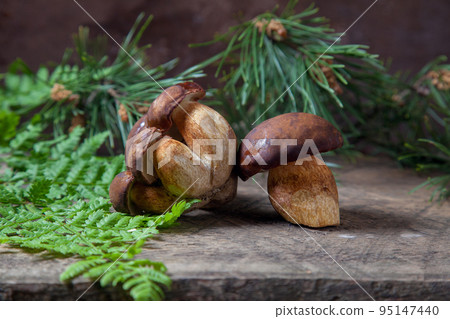 Several Imleria Badia or Boletus badius mushrooms commonly known as the bay bolete on vintage wooden background.. Several Imleria Badia or Boletus badius mushrooms commonly known as the bay bolete on vintage wooden background.. 95147440