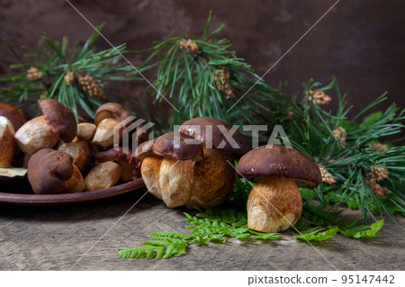 Imleria Badia or Boletus badius mushrooms commonly known as the bay bolete and clay plate with mushrooms on vintage wooden background.. Imleria Badia or Boletus badius mushrooms commonly known as the bay bolete and clay plate with mushrooms on vintage wooden background.. 95147442