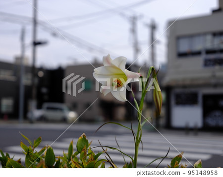 木更津的風景 木更津的風景 95148958