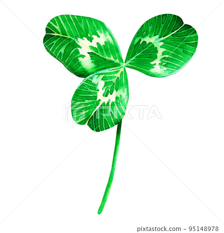 Shamrock clover. St. Patrick's Day. Watercolor illustration. Isolated on a white background. Shamrock clover. St. Patrick's Day. Watercolor illustration. Isolated on a white background. 95148978