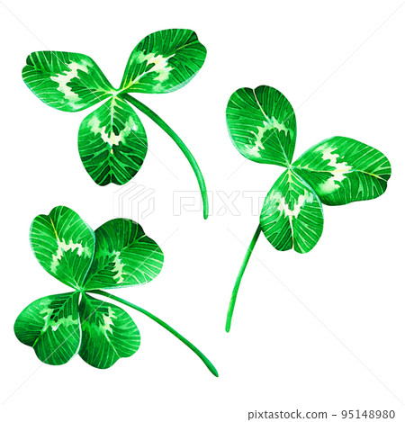 Set of clover leaves. St. Patrick's Day. Watercolor illustration. Isolated on a white background. 95148980