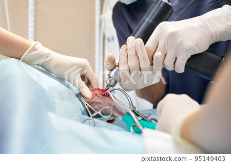 veterinary medical team performing an operation. spaying and neutering surgery of a domestic animal at the veterinary clinic veterinary medical team performing an operation. spaying and neutering surgery of a domestic animal at the veterinary clinic 95149403