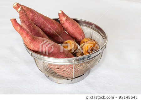 Harvesting from the kitchen garden (sweet potato and taro on a colander) Harvesting from the kitchen garden (sweet potato and taro on a colander) 95149643