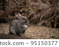 Rabbit  95150377