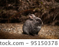 Rabbit  95150378