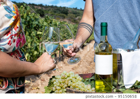 Boys toast with a glass of wine between the rows of a vineyard. Boys toast with a glass of wine between the rows of a vineyard. 95150658