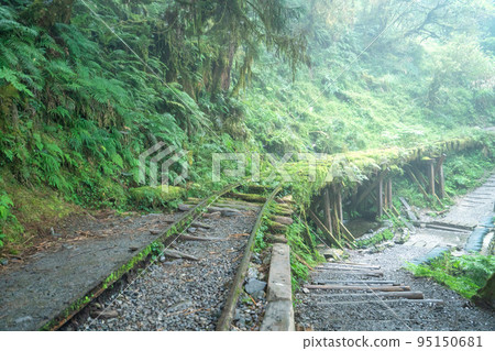 太平山 見晴古道 見晴懷古步道 小徑 Jianqing trail Taipingshan 95150681