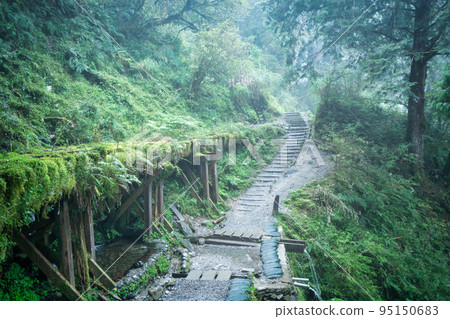 太平山 見晴古道 見晴懷古步道 小徑 Jianqing trail Taipingshan 太平山 見晴古道 見晴懷古步道 小徑 Jianqing trail Taipingshan 95150683