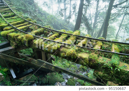 太平山 見晴古道 見晴懷古步道 小徑 Jianqing trail Taipingshan 95150687