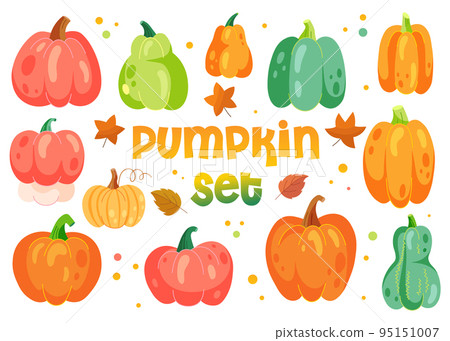 Set of autumn pumpkins. Vector collection of green, orange, red harvest vegetables for fall decoration season. Set of autumn pumpkins. Vector collection of green, orange, red harvest vegetables for fall decoration season. 95151007