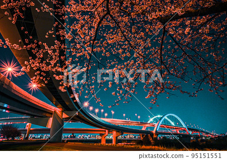 Night view of cherry blossoms at Goshikizakura Bridge and Kohoku Junction Night view of cherry blossoms at Goshikizakura Bridge and Kohoku Junction 95151551