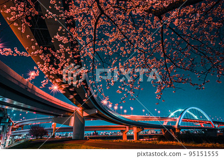 五色櫻橋和港北交界處的櫻花夜景 五色櫻橋和港北交界處的櫻花夜景 95151555
