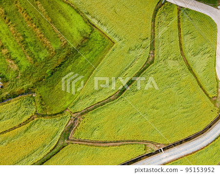 Autumn landscape Autumn landscape 95153952