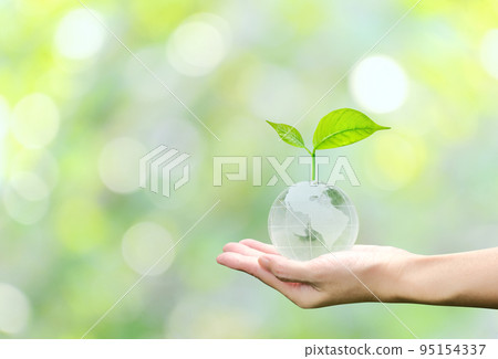 Young plant on crystal globe in hand with green background, concept for eco friendly business, green energy and climate change. Young plant on crystal globe in hand with green background, concept for eco friendly business, green energy and climate change. 95154337