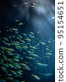 Aquarium 95154651