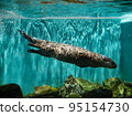 Aquarium 95154730