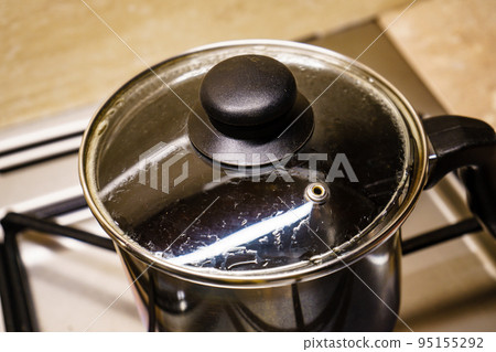 Kitchen pot on the gas stove 95155292