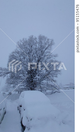 被雪覆蓋的汽車和樹木 95155476