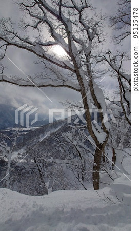 大山深處的新鮮雪 95155478