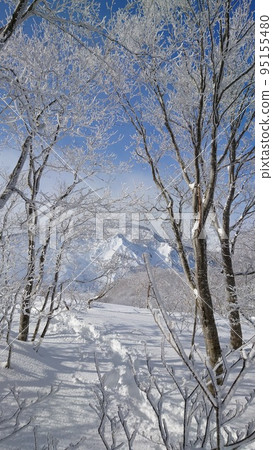 野外滑雪 95155480