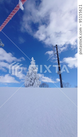 一棵樹 一棵樹 95155621