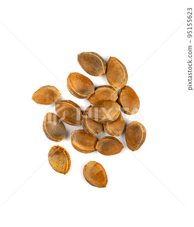 Apricot Kernels Isolated, Apricot Pits Pile, Fruit Seeds 95155623