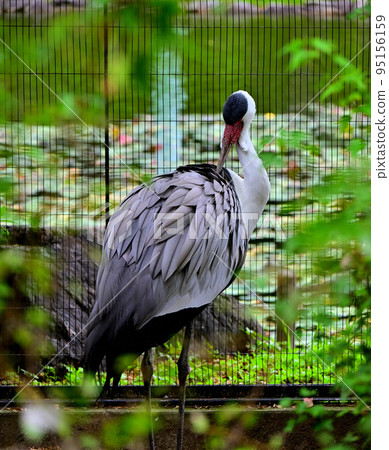 Hokazari起重機 Hokazari起重機 95156159