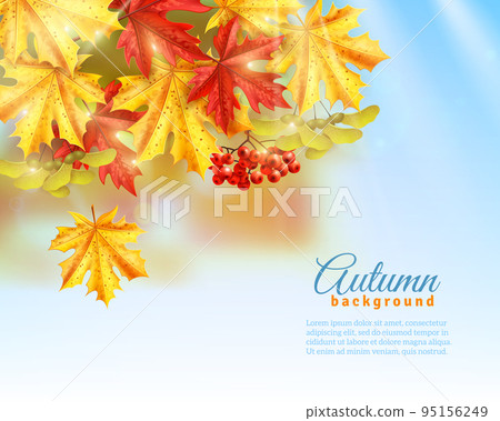Flat Autumn Background Flat Autumn Background 95156249