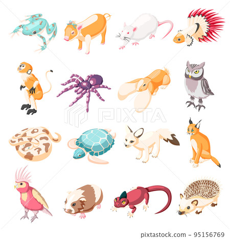 Exotic Pets Isometric Icons Exotic Pets Isometric Icons 95156769