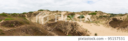Nature landscape view over the yellow sand of the dunes of Bray-Dunes, France 95157531