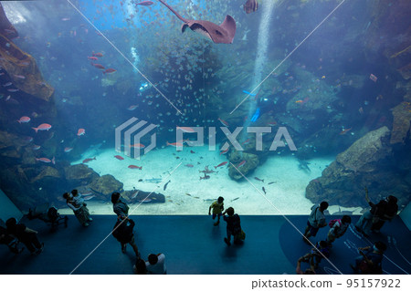 Taoyuan, Taiwan 07 July 2022 95157922