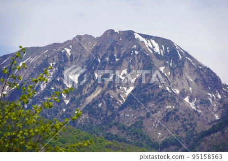 在長野市木佐,有一個臭菖蒲的聚居地Okususobana自然公園。 在長野市木佐,有一個臭菖蒲的聚居地Okususobana自然公園。 95158563