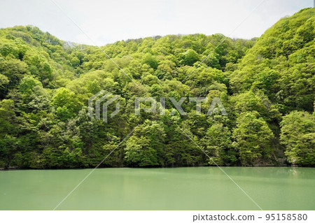 在長野市木佐，有一個臭菖蒲的聚居地Okususobana自然公園。 95158580