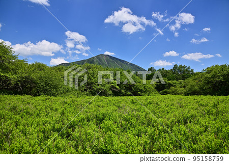 Mount Nantai seen from Senjogahara in early summer 95158759