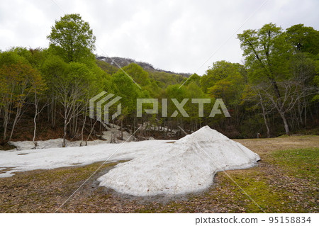 In Kinasa, Nagano City, there is Okususobana Nature Park, which is a colony of skunk cabbage. 95158834