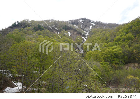 In Kinasa, Nagano City, there is Okususobana Nature Park, which is a colony of skunk cabbage. 95158874