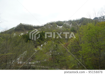 在長野市木佐，有一個臭菖蒲的聚居地Okususobana自然公園。 95158878