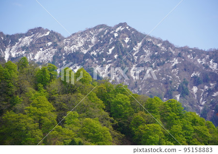 在長野市木佐,有一個臭菖蒲的聚居地Okususobana自然公園。 在長野市木佐,有一個臭菖蒲的聚居地Okususobana自然公園。 95158883