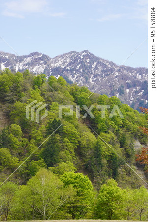 在長野市木佐,有一個臭菖蒲的聚居地Okususobana自然公園。 在長野市木佐,有一個臭菖蒲的聚居地Okususobana自然公園。 95158884