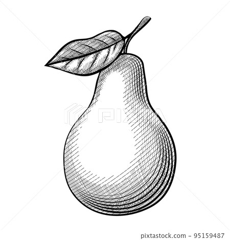 Etching pear Etching pear 95159487