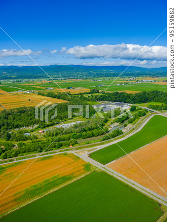 Biei, Hokkaido _ Aerial view of patchwork hill Biei, Hokkaido _ Aerial view of patchwork hill 95159682