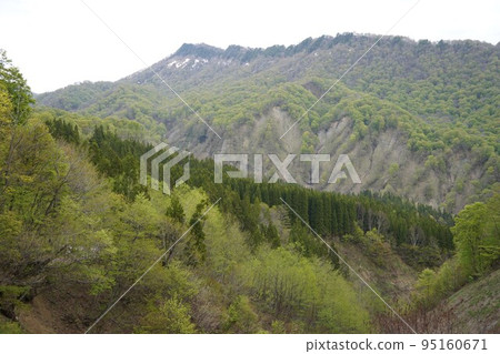 在長野市木佐,有一個臭菖蒲的聚居地Okususobana自然公園。 在長野市木佐,有一個臭菖蒲的聚居地Okususobana自然公園。 95160671