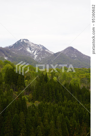 In Kinasa, Nagano City, there is Okususobana Nature Park, which is a colony of skunk cabbage. 95160682